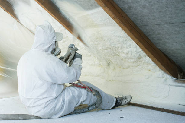 Types of Insulation We Offer in Colfax, CA